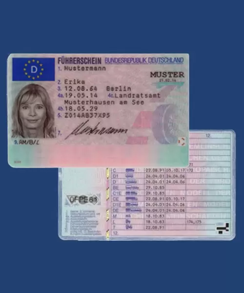 Drivers Licenses